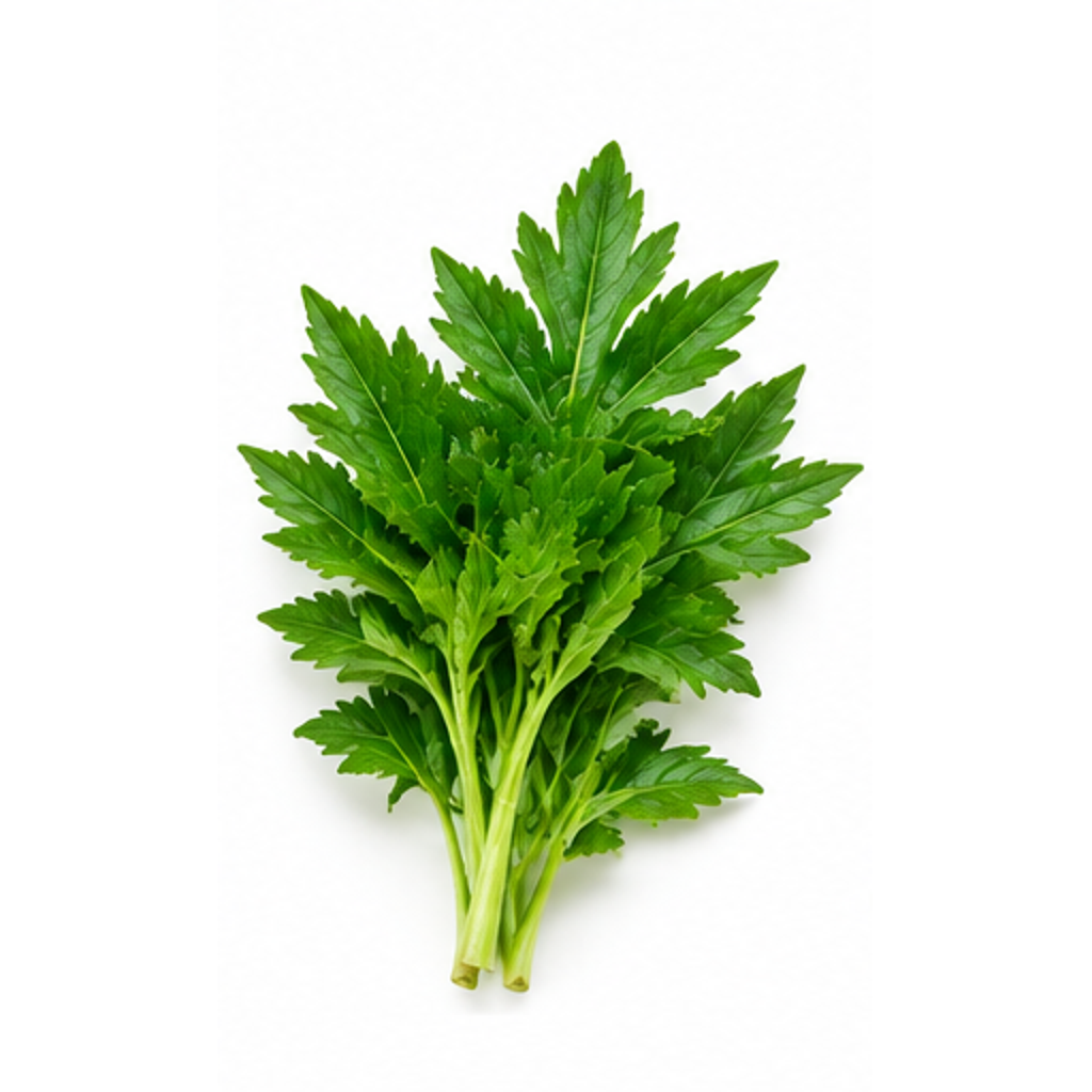Daun Bidara