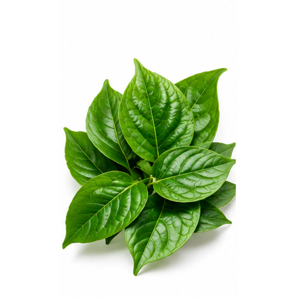 Daun Bungur