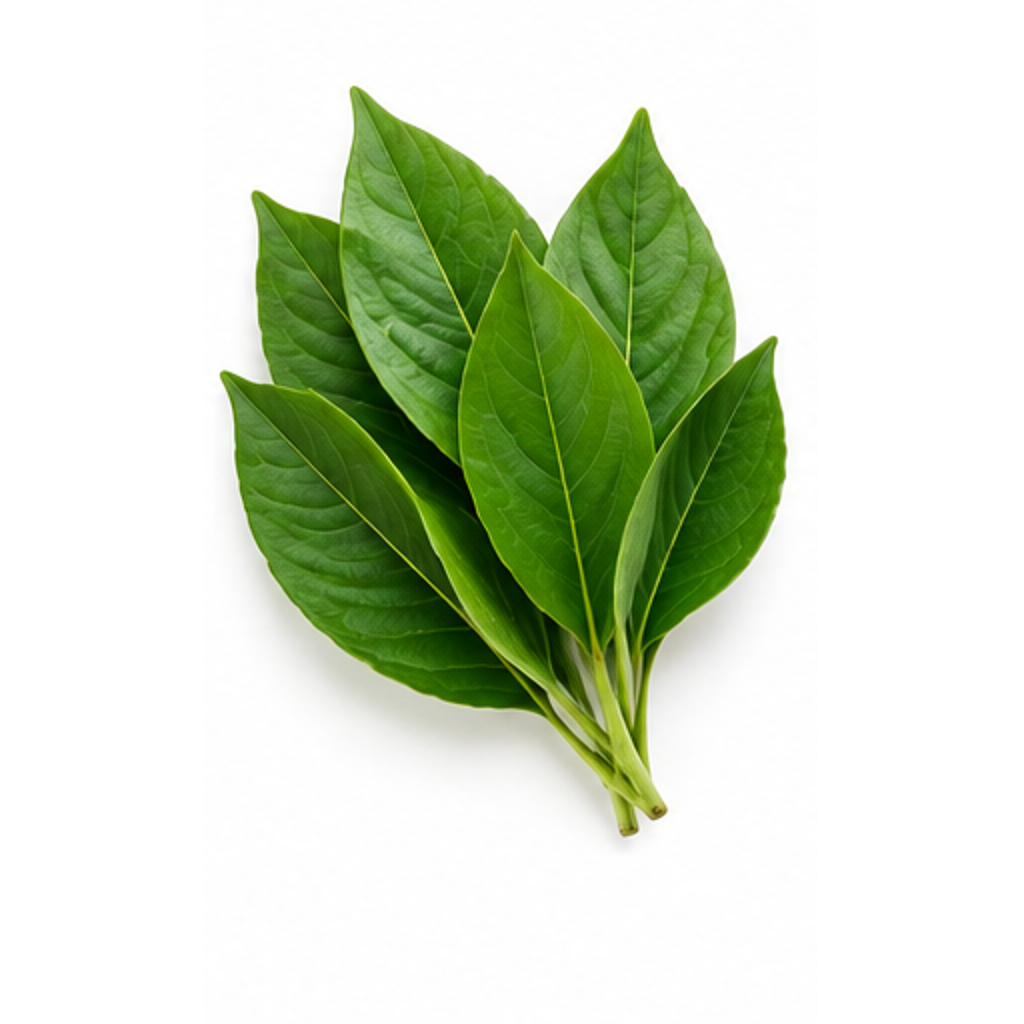 Daun Jambu