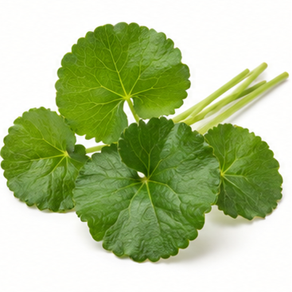 Mengenal Kelompok Daun-Daunan yang Digunakan sebagai Bahan Herbal