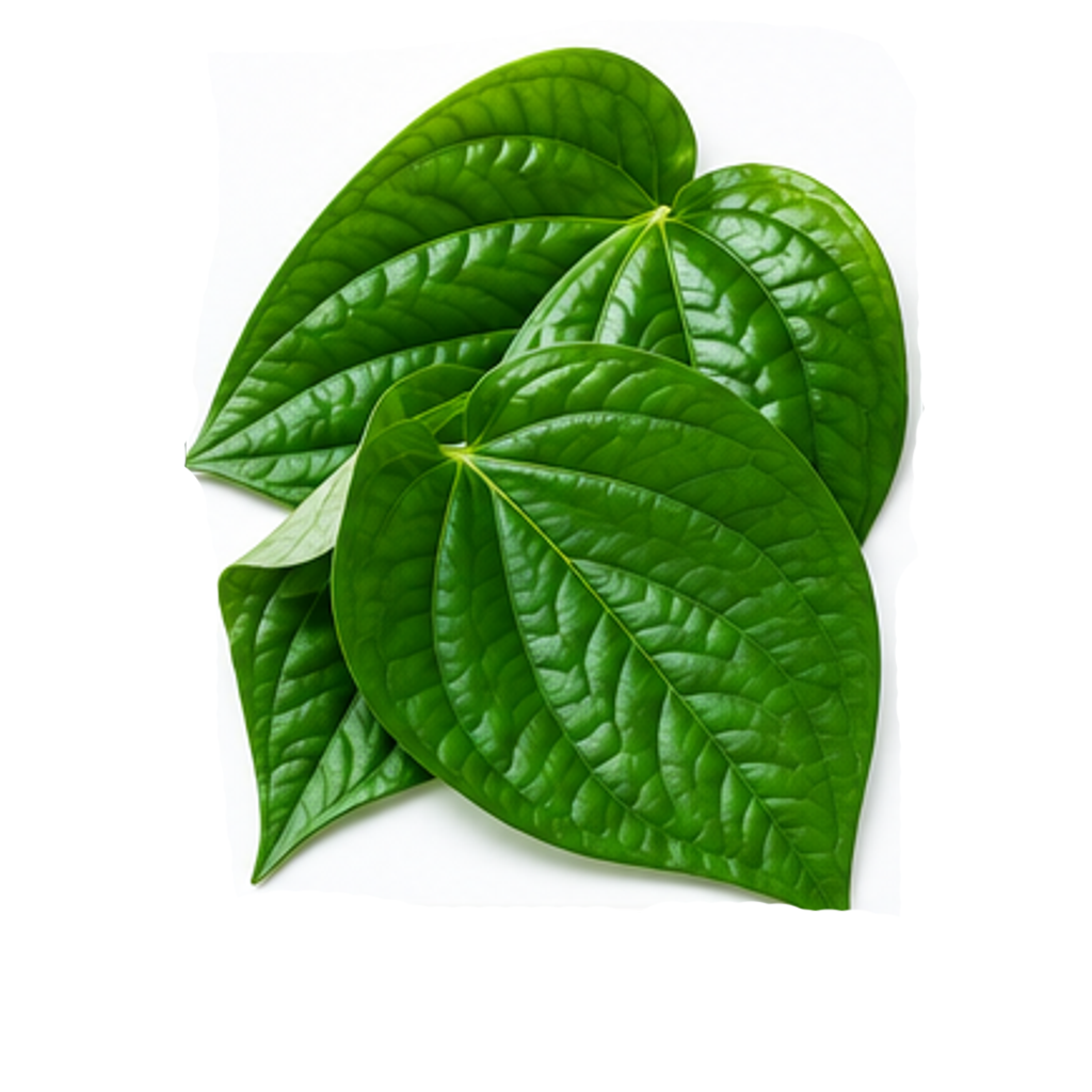 Daun Sirih
