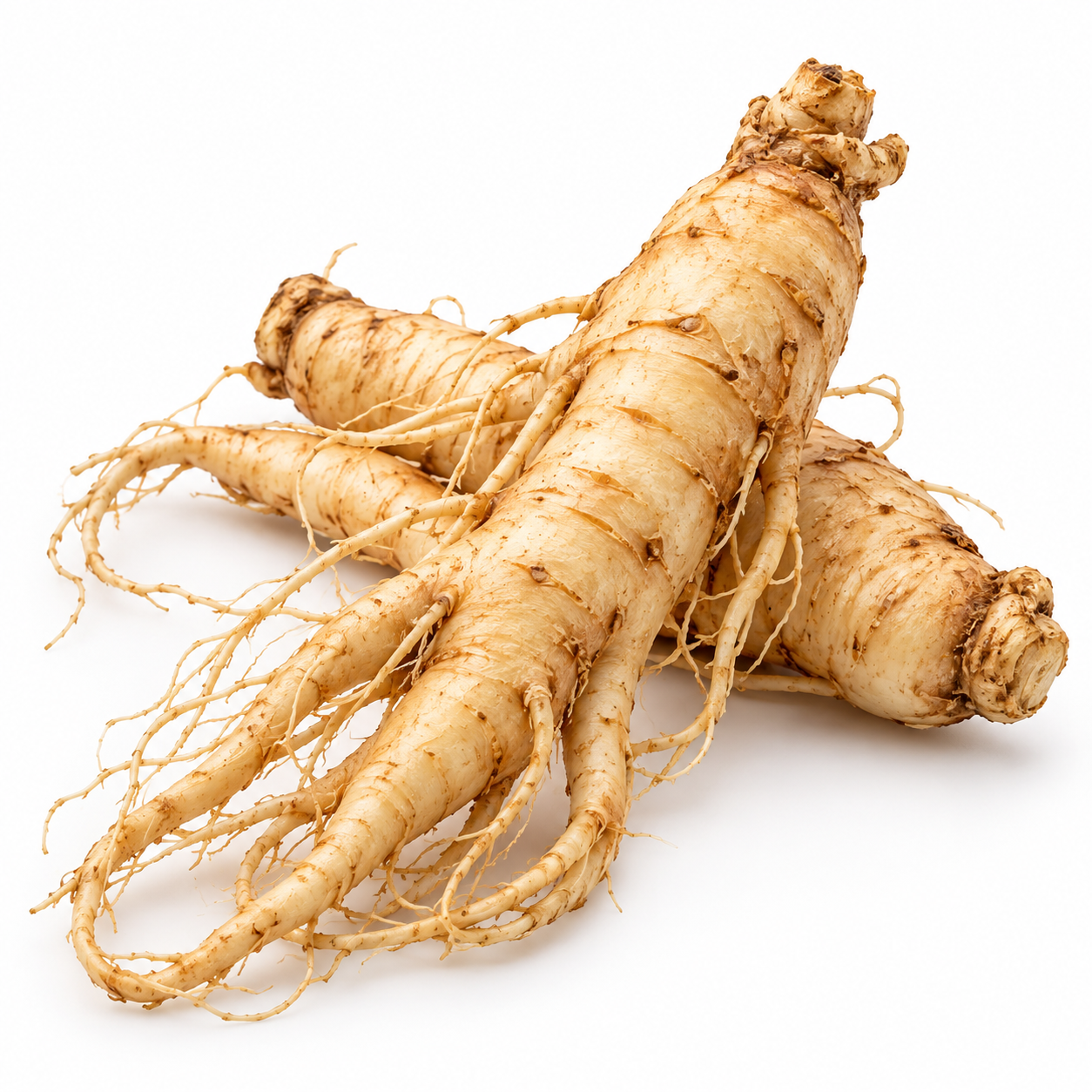 Ginseng Lokal