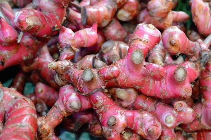 Bahan Baku Herbal