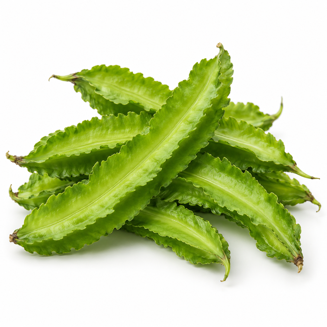 Kecipir
