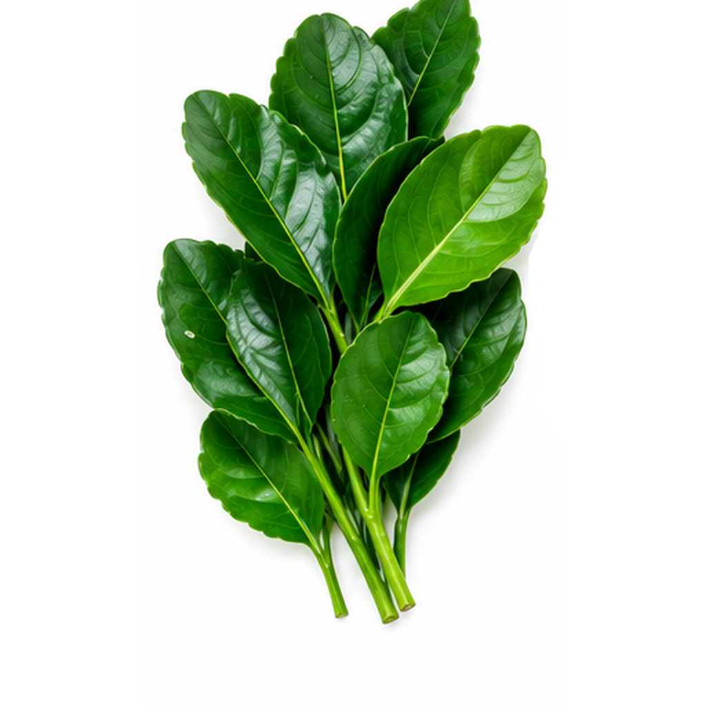 Kiapu